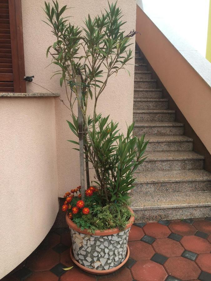 Apartmani Stefano Labin  Exteriör bild